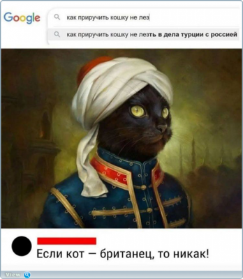 Прикрепленное изображение: КотБританец.png